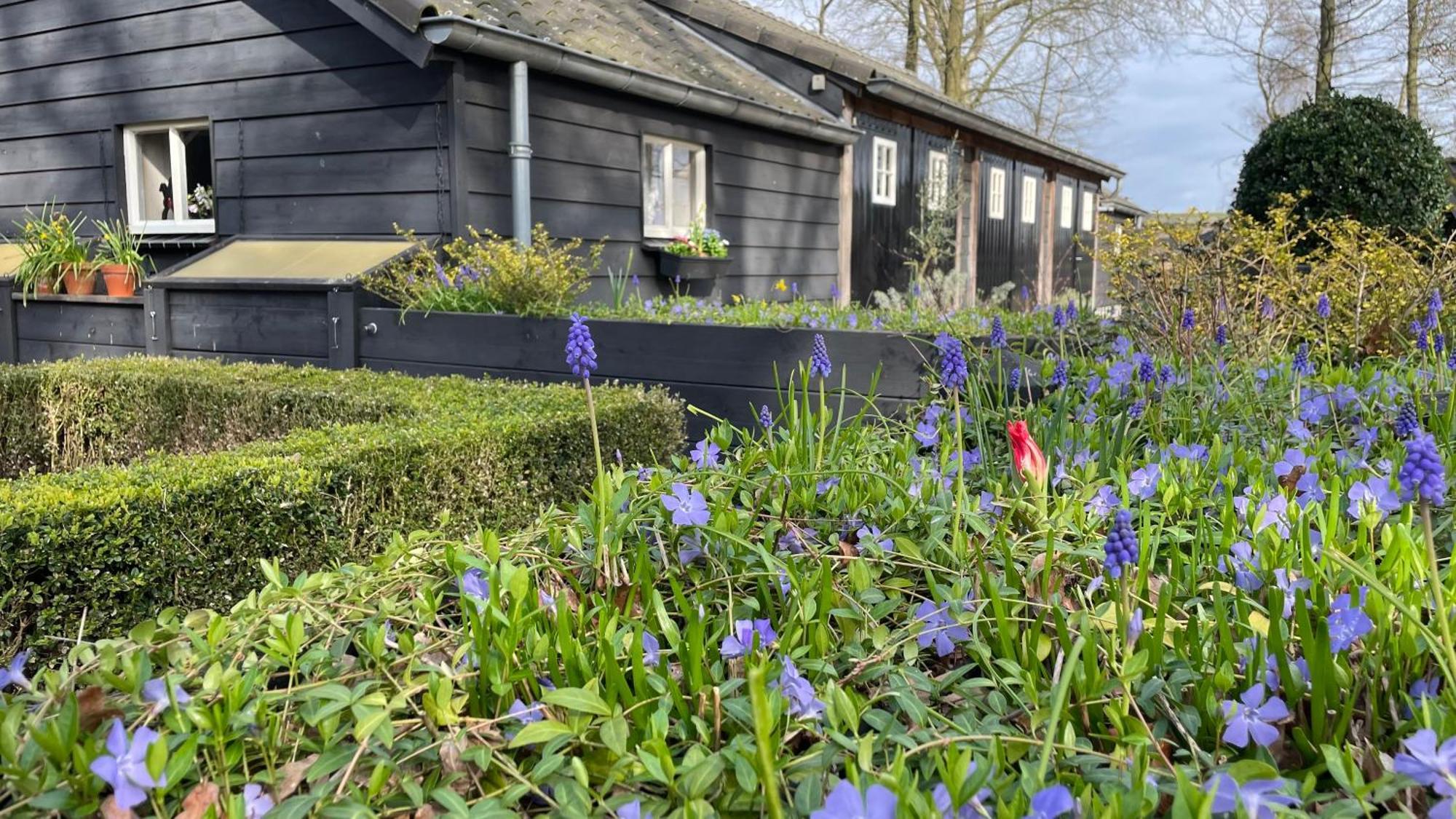 Hoeve Bij Vosselen Asten Exterior foto